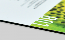 Dibond Panel Printing