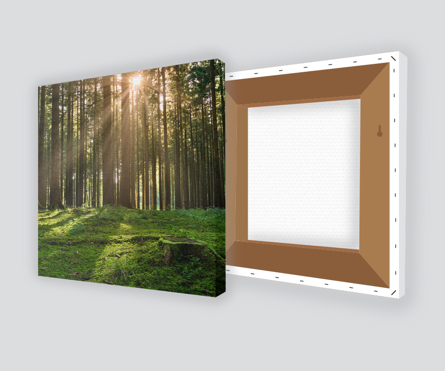 canvas printing face media